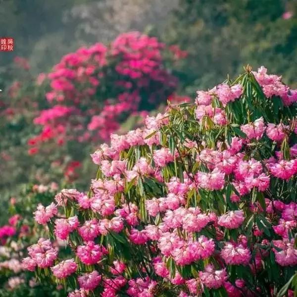 五一出行避开人从众的好去处,五一避开人群小众旅游地