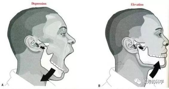 看看你的脊椎到底健不健康？