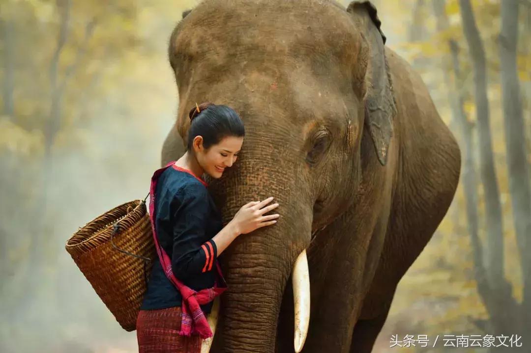 出行泰国需要准备什么？云象全攻略告诉你！拿走不谢【原创】