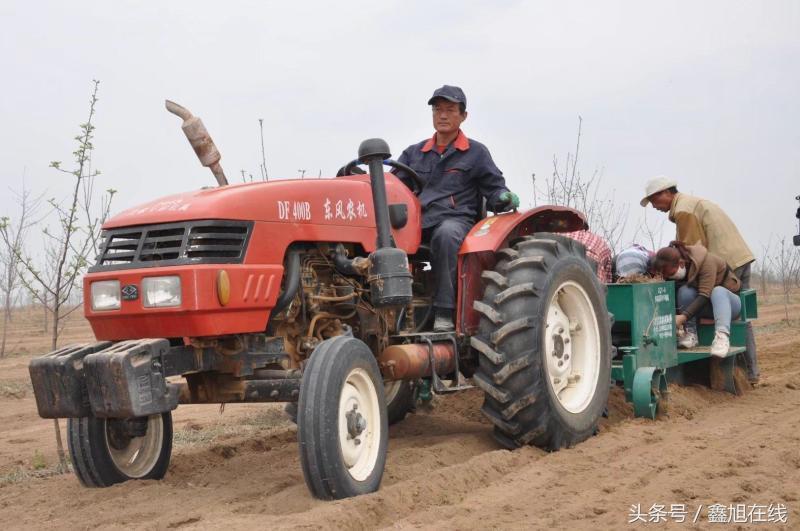 希望的田野歌曲大合唱,希望的田野歌曲舞蹈
