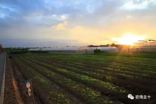 这家漂亮似公园的有机农场，到底有什么“绝活”？