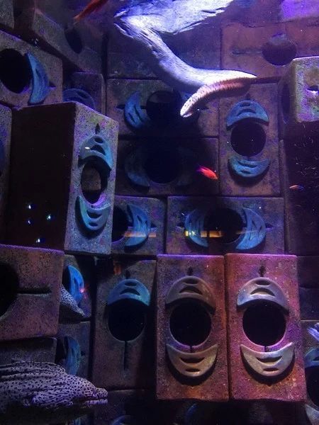 回忆迪拜幸福蜜月之旅,甜蜜的蜜月旅程