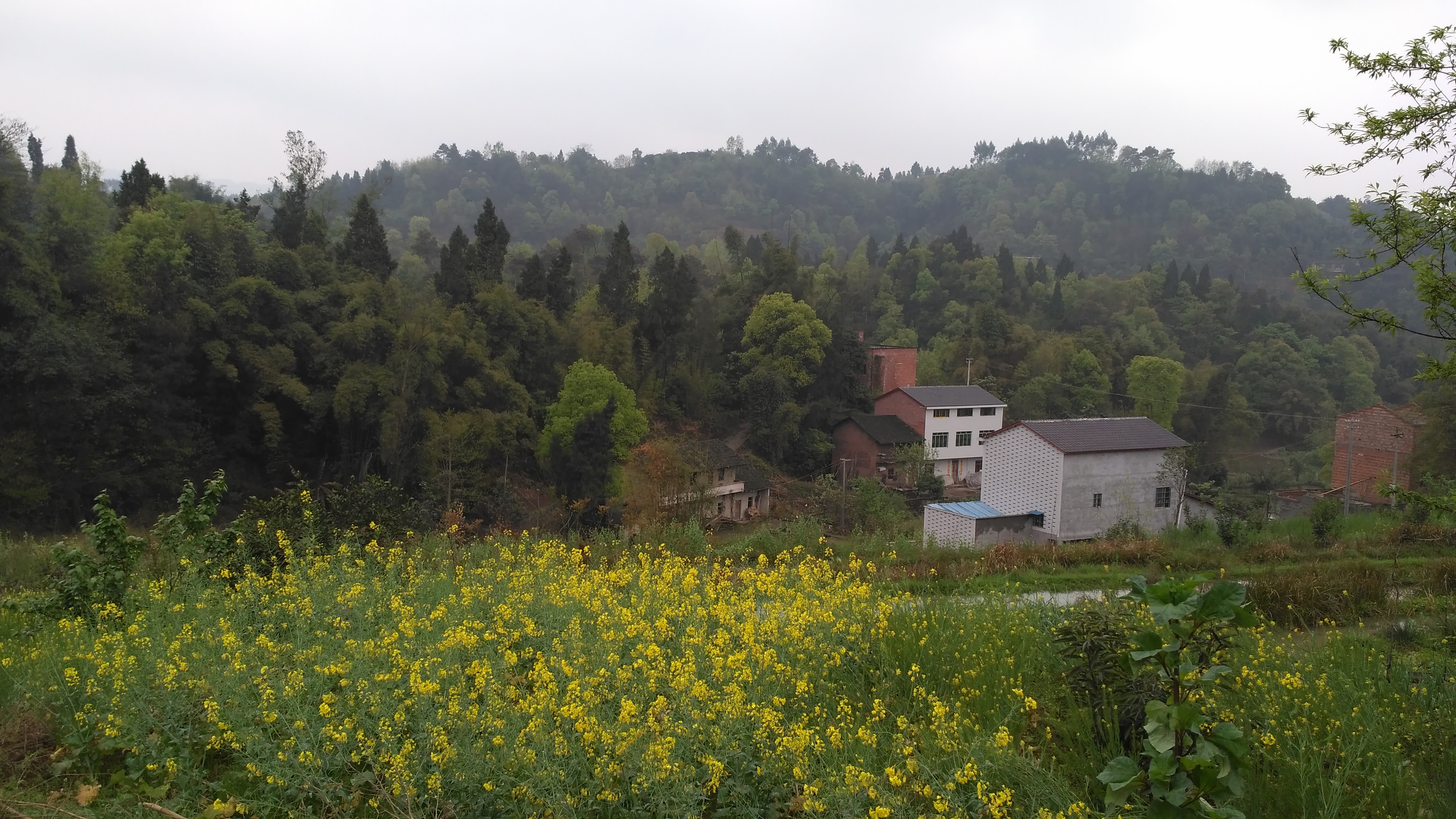 我的田园情结,温暖的田园情结