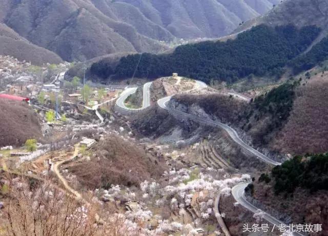 北京40个春游好去处!赏花、放风筝、爬山、烧烤……想怎么嗨都行!