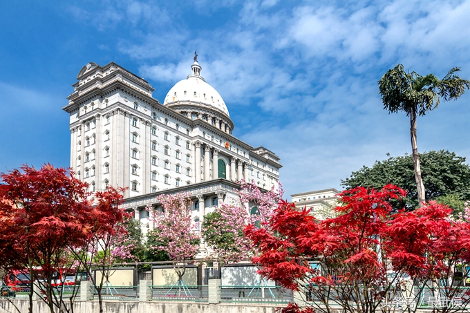 成都看日本樱花,日本哪个区看樱花最好
