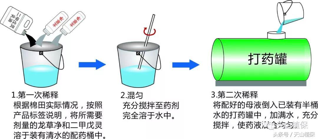 龙草净在棉花田防除龙葵使用技术