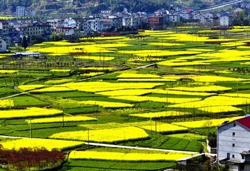 诗意到极致的江南小镇,最有韵味江南小城