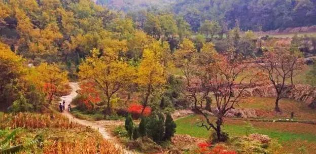 临淄人你牛什么牛?无非就是……