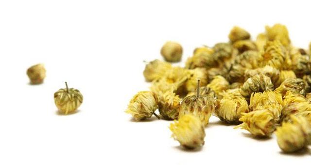 胎菊真假辨别,是贡菊更好还是胎菊更好