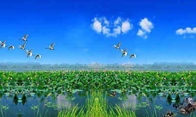 铁道游击队微山湖传奇,铁道游击队微山湖原版