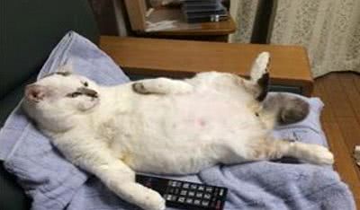 谁在劝我生二胎,谁再逼我生二胎我就跟谁急表情包