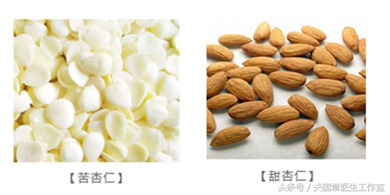 你知道怎么区别甜和酸吗,苦杏仁与桃仁如何鉴别