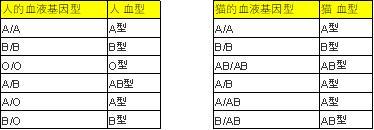 b型血的母猫生小猫怎么办,a型母猫和b型公猫会生出什么猫