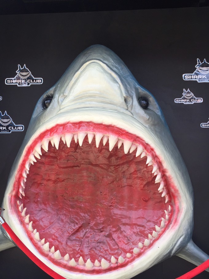 普吉岛五日游多少费用,泰国普吉岛自由行5天4夜花费