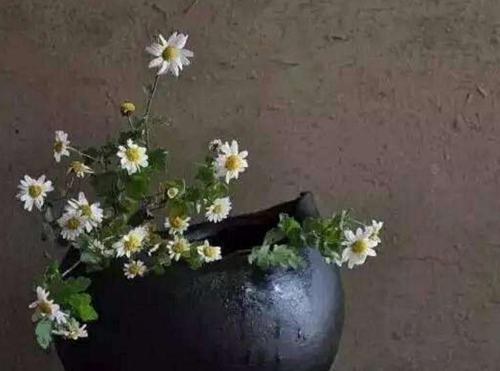 语录当你一无所有的时候,美文当你看透一切时荐读