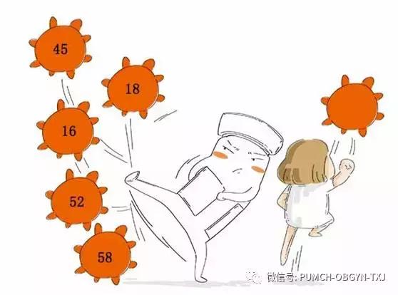 协和医院预约hpv疫苗,hpv九价疫苗可以在私立医院打吗