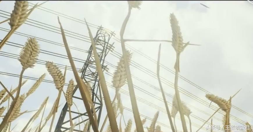 绝地求生最新赛事4am吃鸡,绝地求生4am从建立到现在所有成员