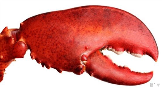 思域螃蟹尾灯,本田思域尾灯像龙虾钳子