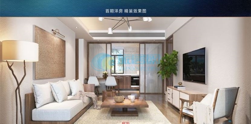 海南臻园的开发商,海南臻园叠墅02号户型