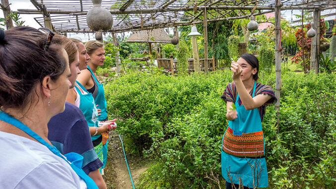 爱吃爱玩的旅行者清迈特色体验学做一顿秀色可餐的泰国菜！
