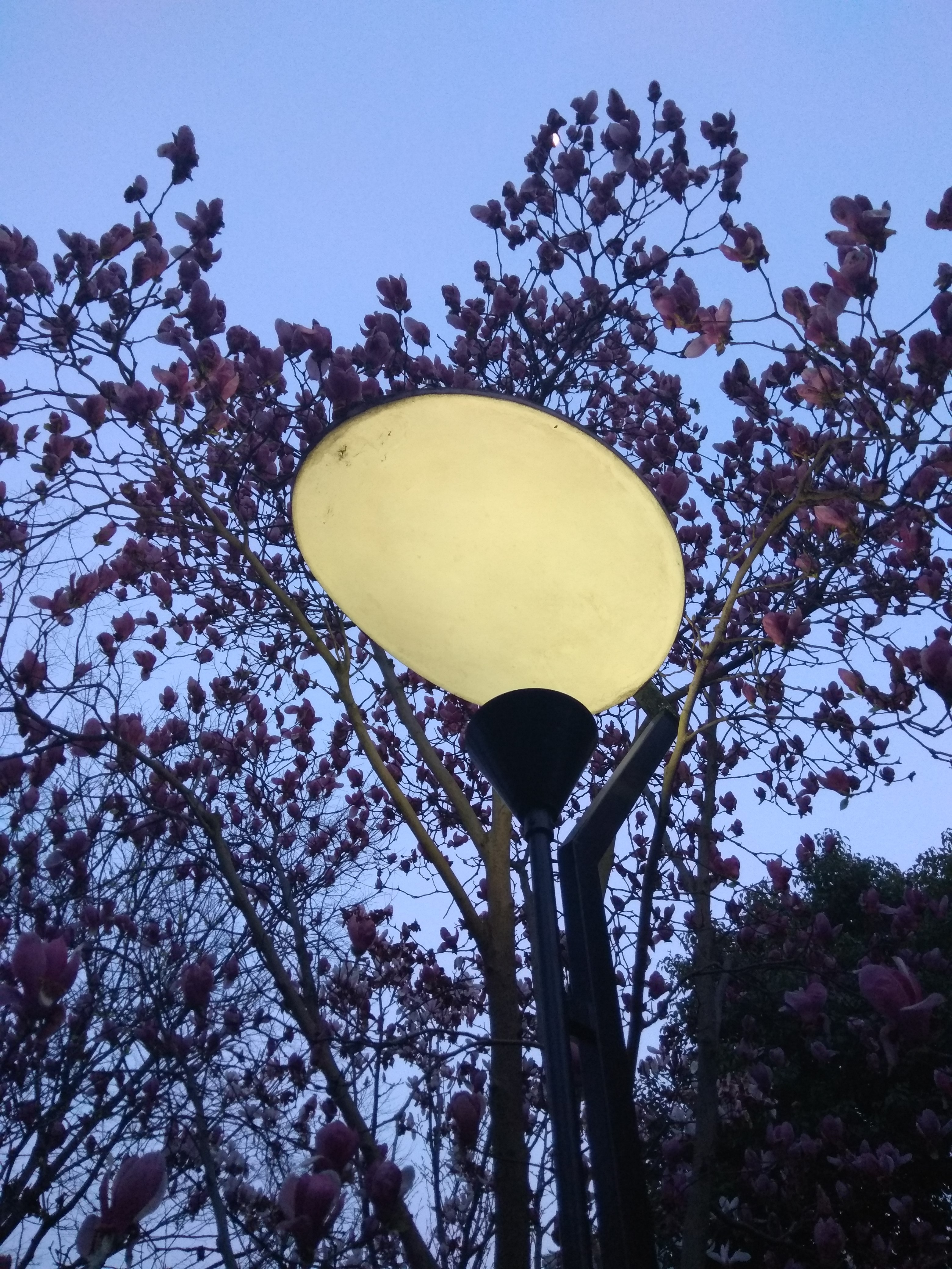 红米手机拍摄技巧,教你拍出卡片机的效果