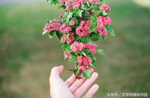 「原创」人间四月天|子木