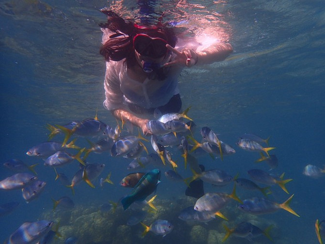 离开喧嚣的城市去野外生活三年,逃离都市喧嚣回归心灵栖居地