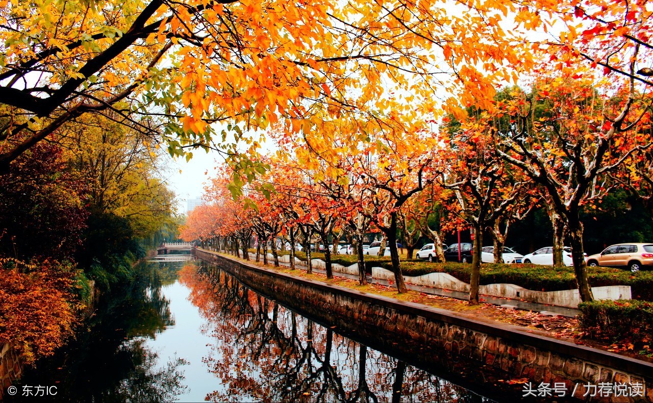 王蕊蕊经典视频,王蕊秦汉思源完整视频