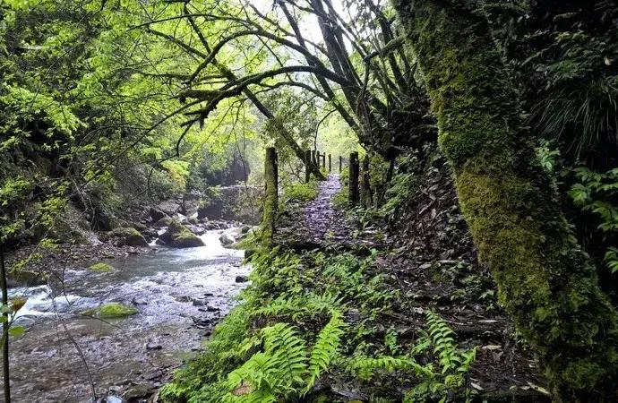 成都周边洗肺好去处,成都周边私藏的8个洗肺胜地