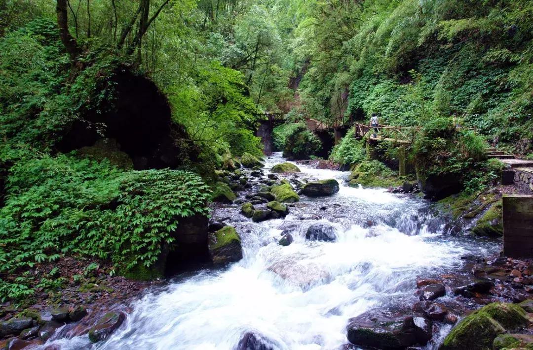 成都周边洗肺好去处,成都周边私藏的8个洗肺胜地