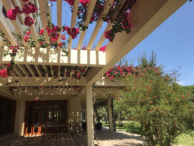 带你旅游看世界,海南清明出游三亚