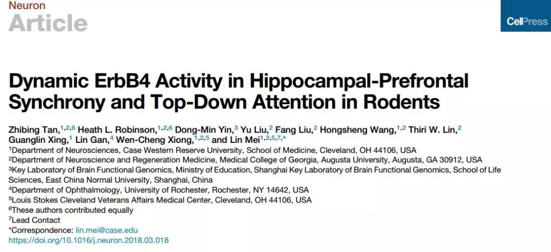 注意力神经学机制,注意力心理疗法
