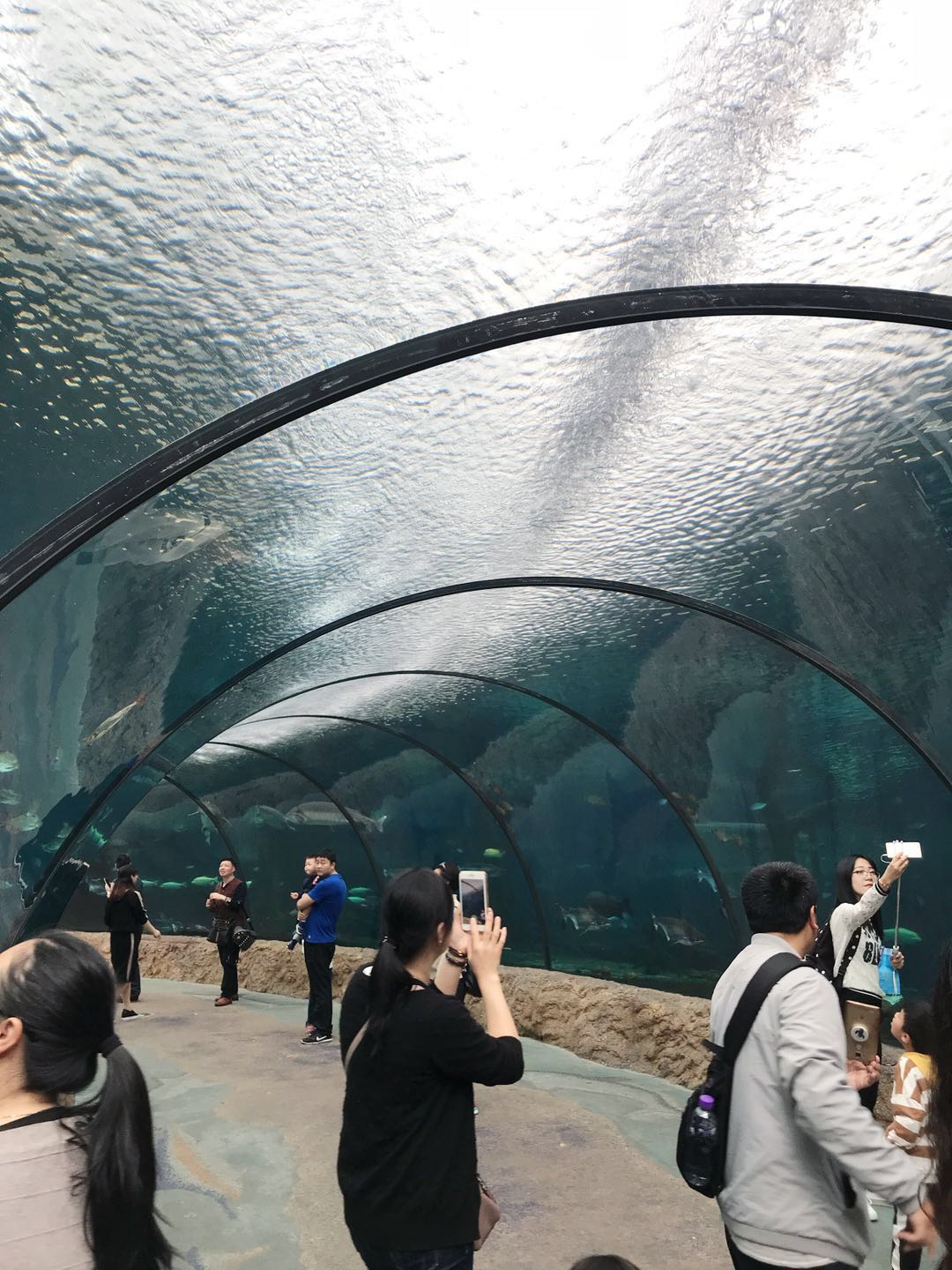 珠海长隆海洋王国攻略简介,珠海长隆海洋王国游玩攻略吃喝