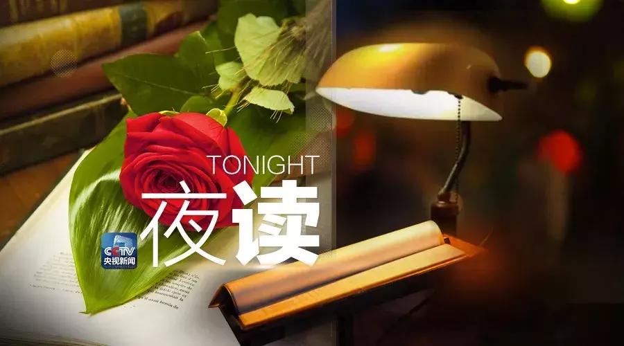 诗意的生活也可以很简单,生活只需一颗向往美好的心