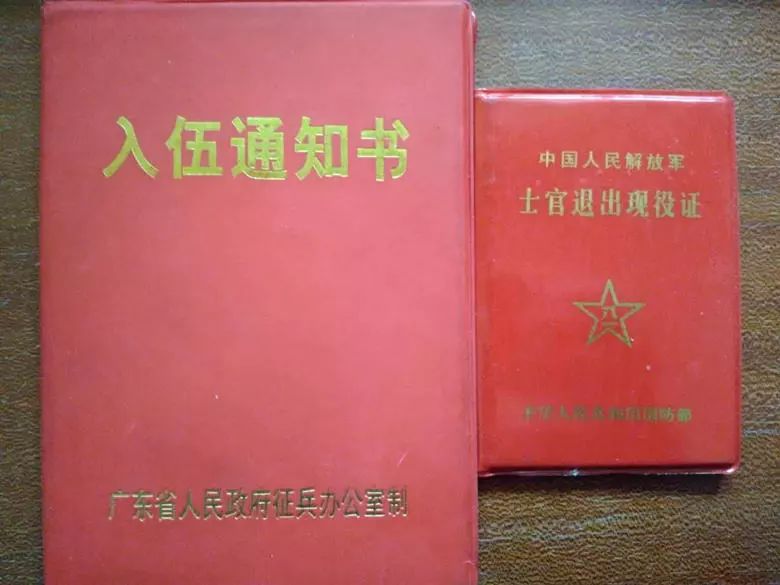 退伍军人养鸡创业致富,90后农村小哥辞职回乡创业养鸡