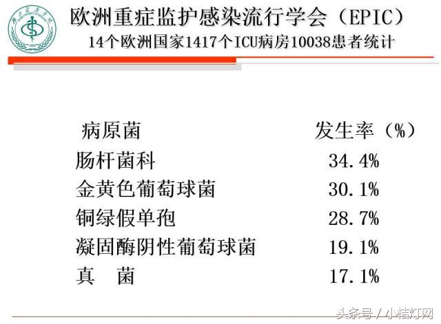 ivd基础知识大全,真菌检测要点