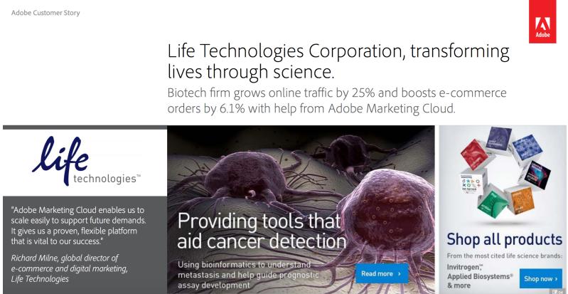 缇庡浗绗竴鐗涜偂,缇庡浗鍗佸ぇ椤剁骇鐗涜偂