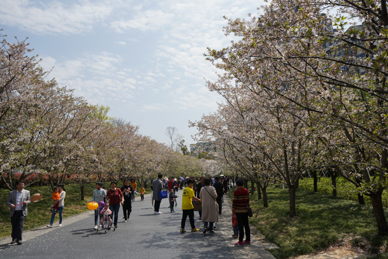 一个佳能*党**眼中的索尼A7M3,ILCE-7M3，索尼新款相机入手小评