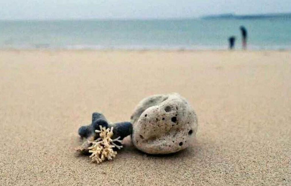 受到委屈励志美文,面对困难的美文