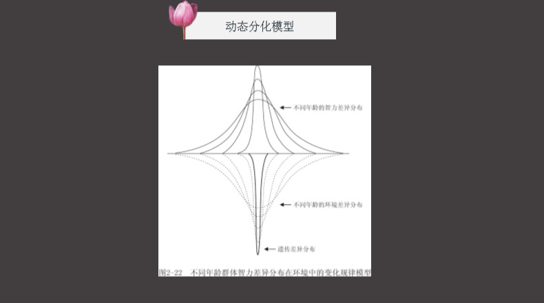 程跃博士金色摇篮,程跃博士简历