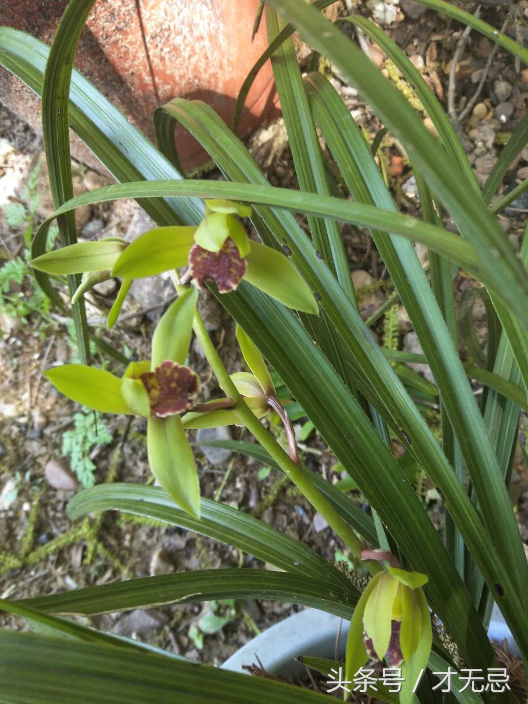 生理性焦虑原因,生理性恐惧怎么克服