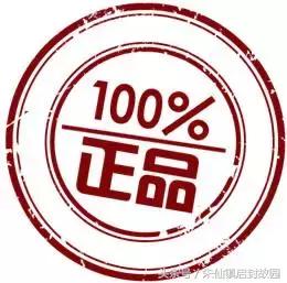 蹴鞠比赛片段,蹴鞠点球