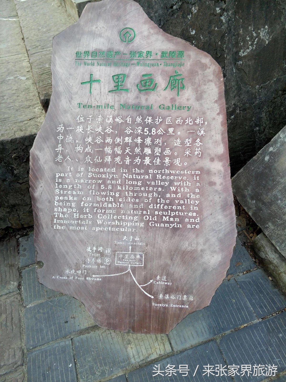 山东到张家界凤凰五日游攻略图文,佛山去张家界旅游攻略路线推荐图