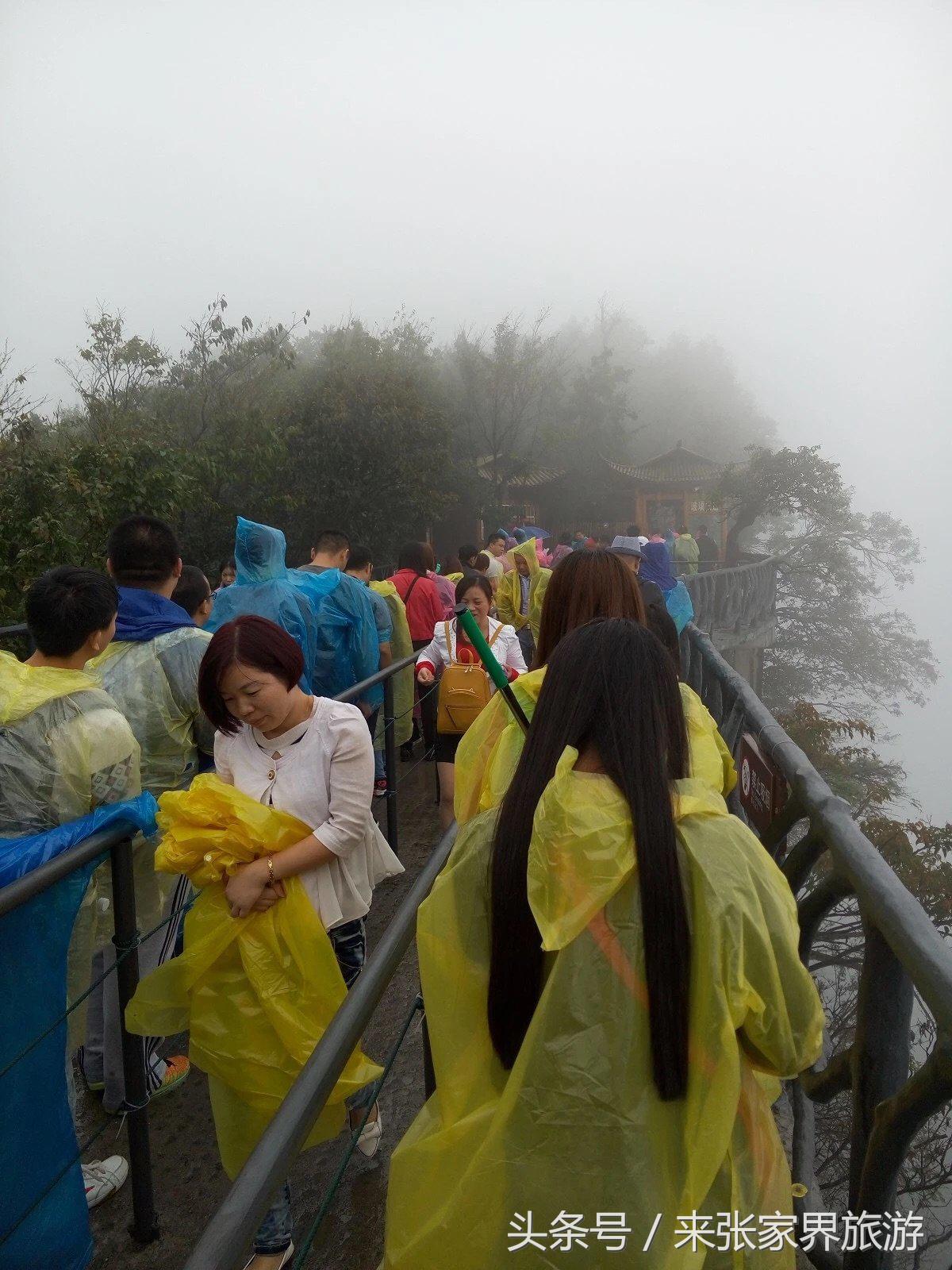 山东到张家界凤凰五日游攻略图文,佛山去张家界旅游攻略路线推荐图