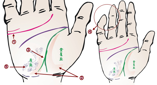疾病与面相,面相看病人生死之秘诀