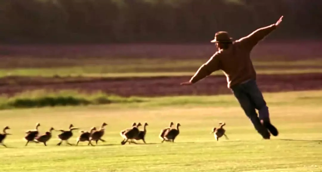 看完湿透你纸巾的8部电影，观看前提早准备好纸巾！