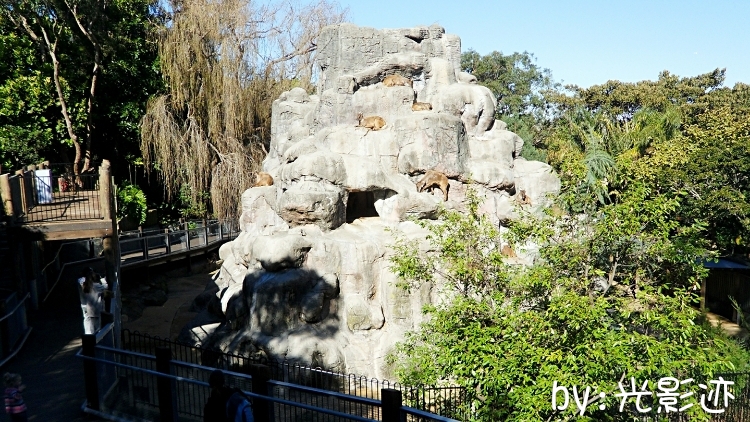 澳洲旅游必去动物园,澳洲动物园游记
