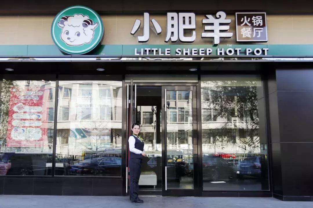 中国小肥羊派*家侦私探**，千里迢迢盯上新加坡“小肥羊”