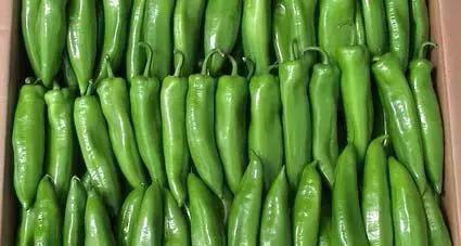 12种最值钱的椒,世界上十种最好的辣椒