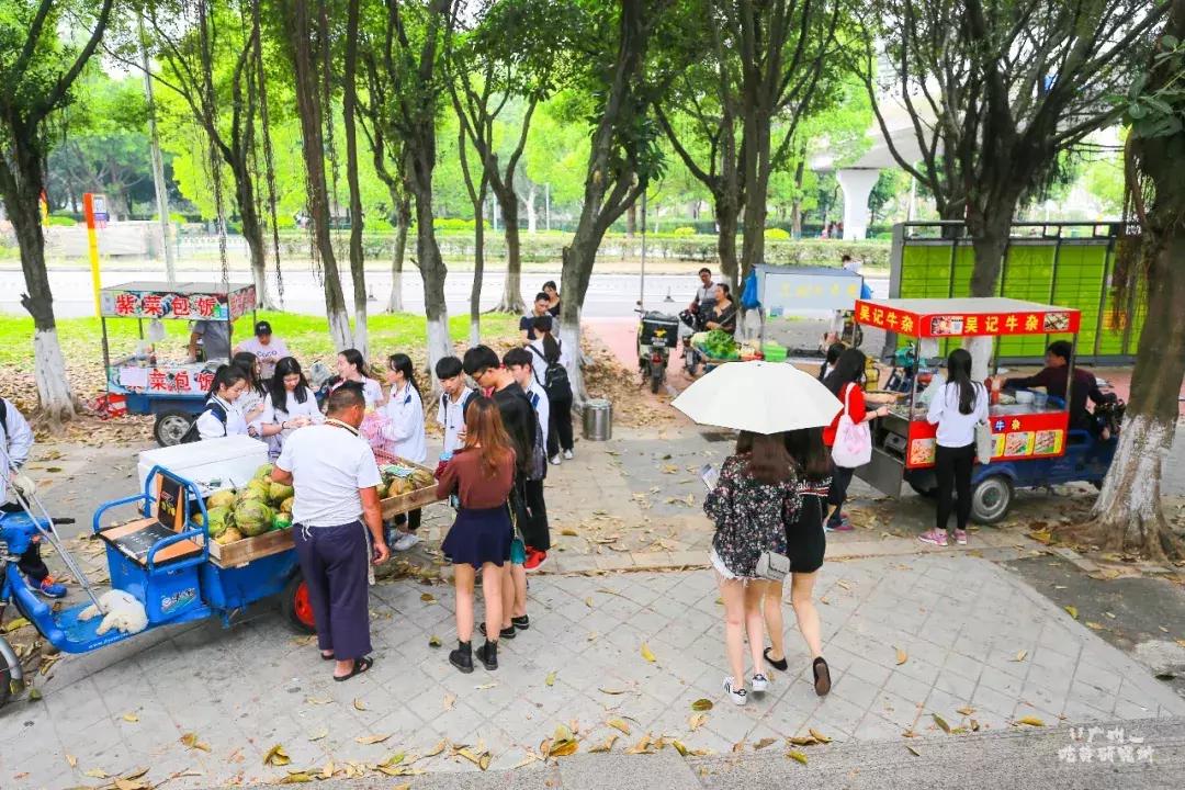星海音乐学院行进,星海音乐学院声乐系颜值